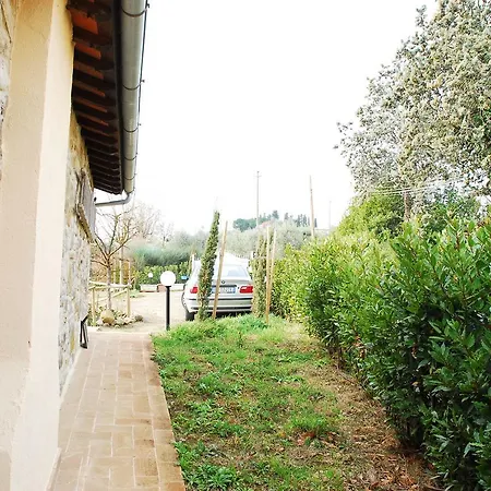 Giuggiolaia *